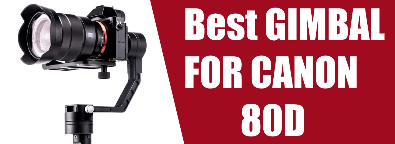 Best Gimbal For Canon 80D