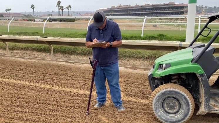 How AI Technology Can Change The Horse Racing Industry: From Track to ...